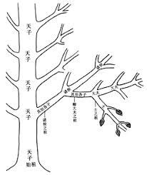 強榦弱枝|强干弱枝